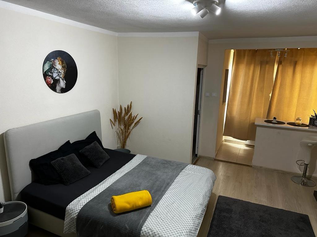 Reeas Apartament Timişoara Exteriör bild