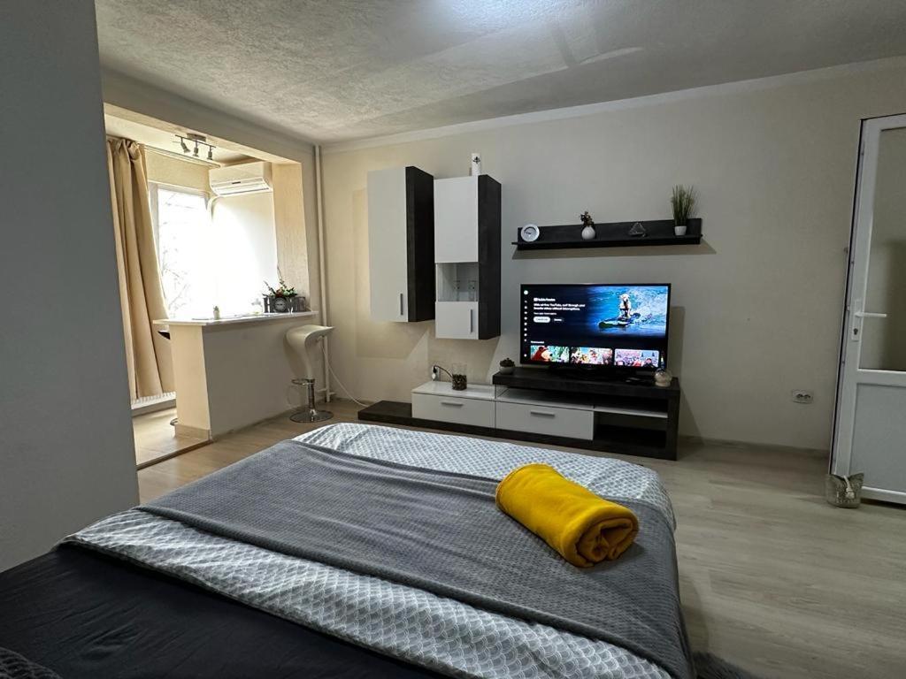 Reeas Apartament Timişoara Exteriör bild