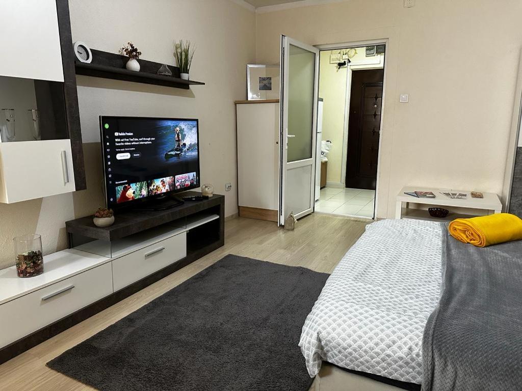 Reeas Apartament Timişoara Exteriör bild