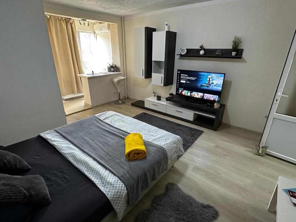 Reeas Apartament Timişoara Exteriör bild