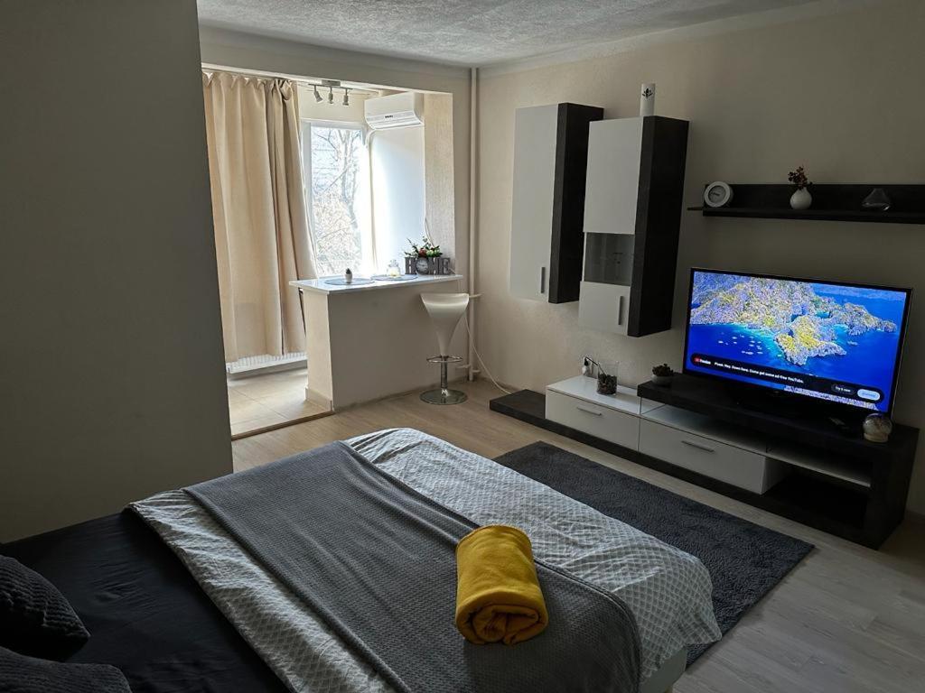 Reeas Apartament Timişoara Exteriör bild