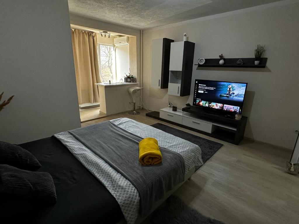 Reeas Apartament Timişoara Exteriör bild